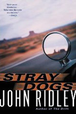 Stray Dogs